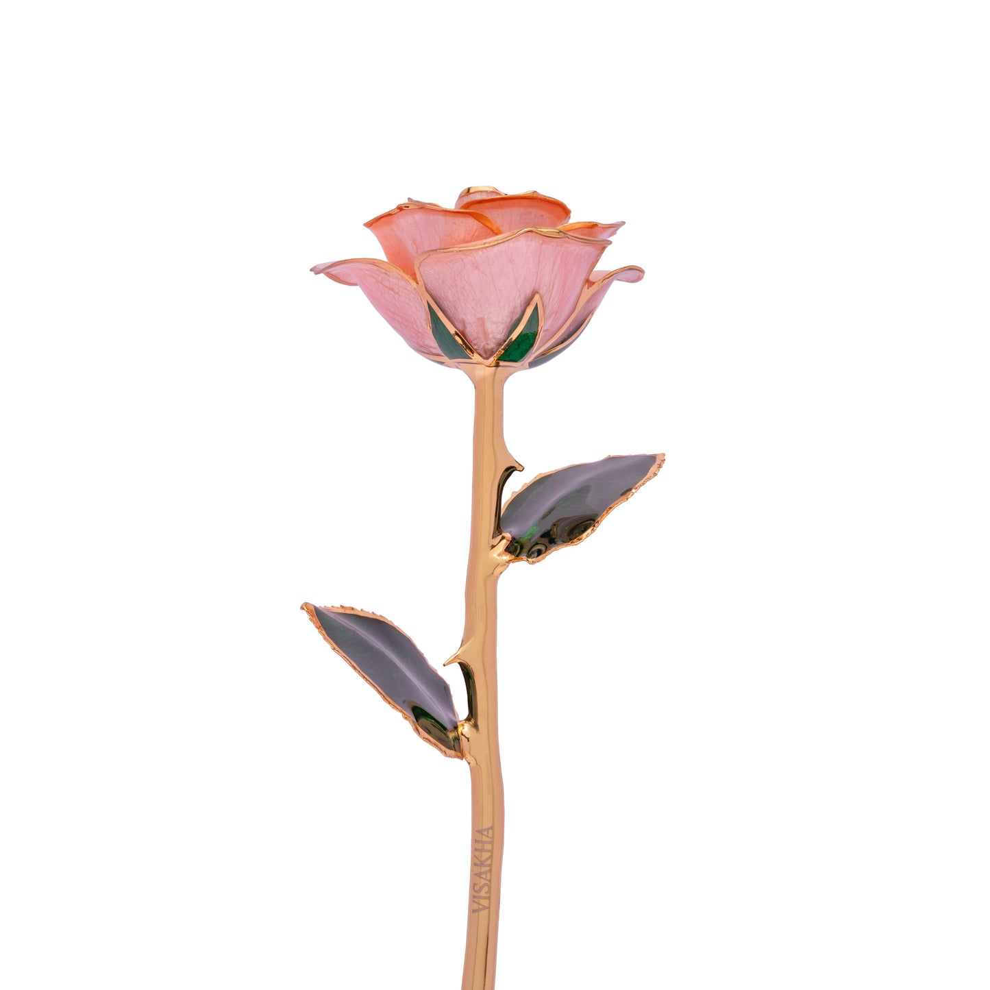 Roselle, 24K Gold Dipped Natural Rose in Pastel – Soft Romance and Rare as True Love