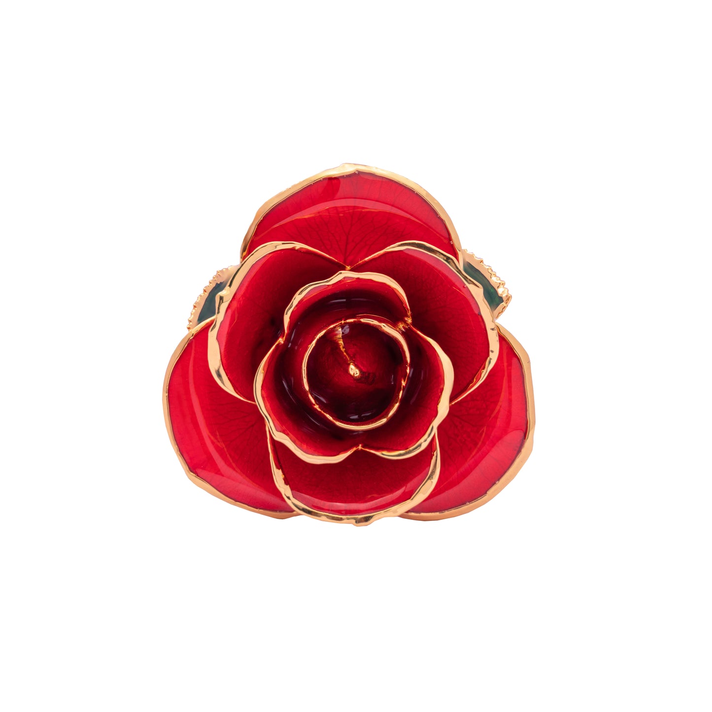 Crimsona, 24K Gold Dipped Natural Rose in Red  – The Heartbeat of Forever