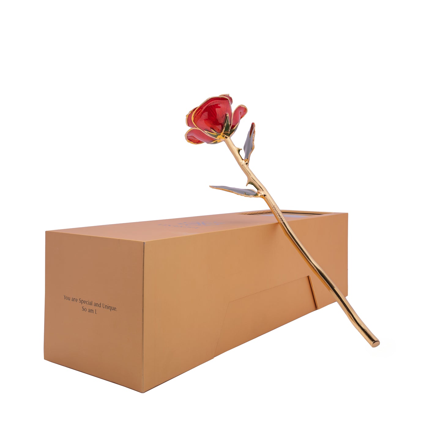 Crimsona, 24K Gold Dipped Natural Rose in Red  – The Heartbeat of Forever